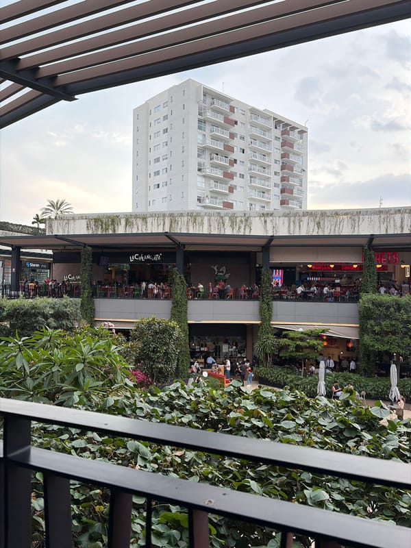 Evening scenes from Cuernavaca commercial district captured by witnesses