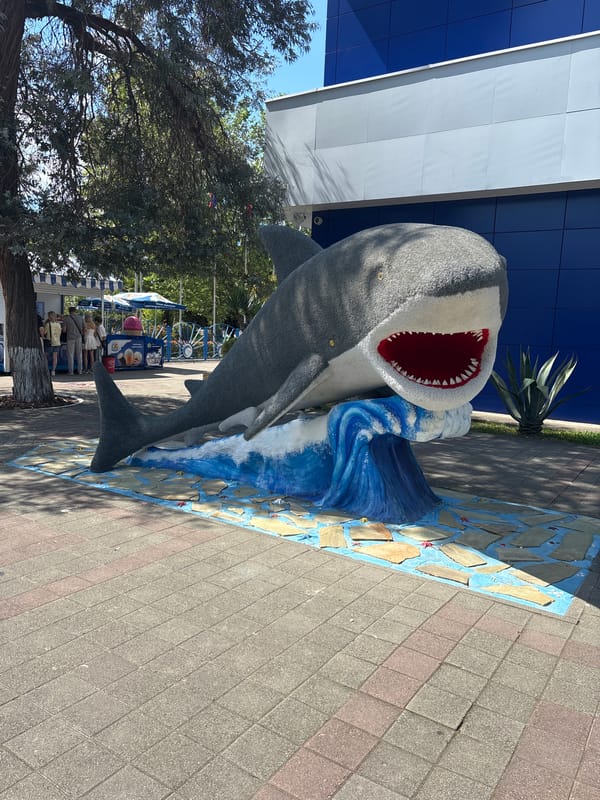 Marine sculpture display documented across Sochi tourist areas