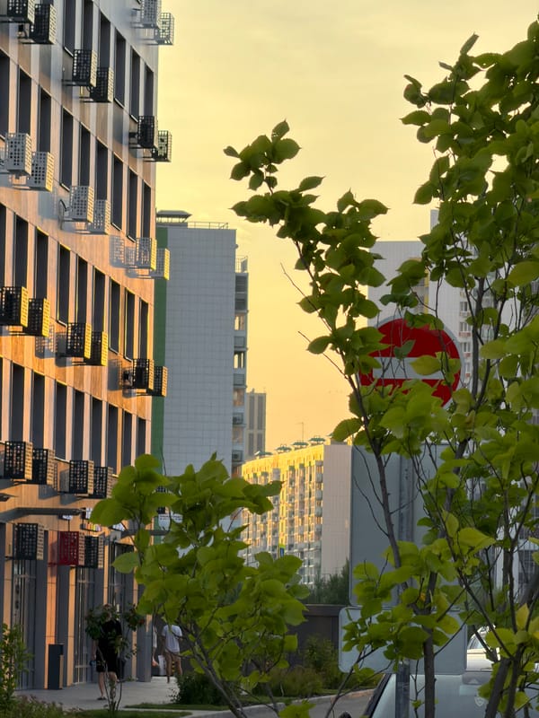 Residential streets at sunset, cars and apartment blocks
