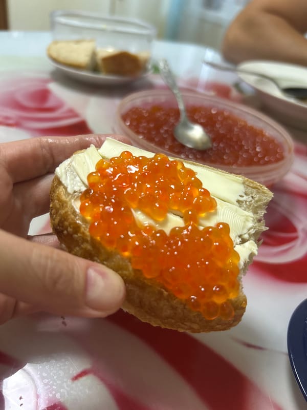 Family shares caviar meal with opportunistic sparrows in Izhevsk