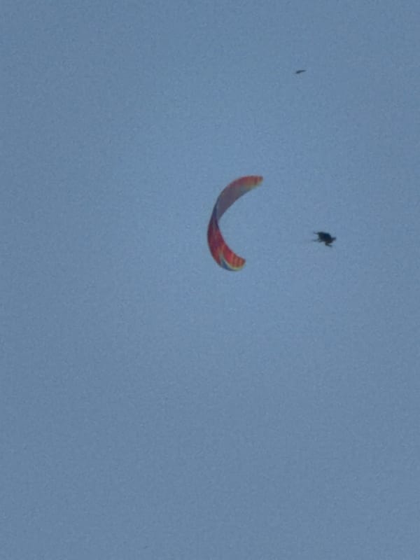 Tandem paragliders fill the skies above Boreti, Montenegro