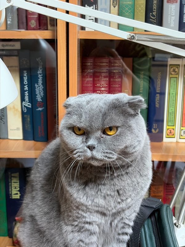 Pets and books captured in Vyborg home library