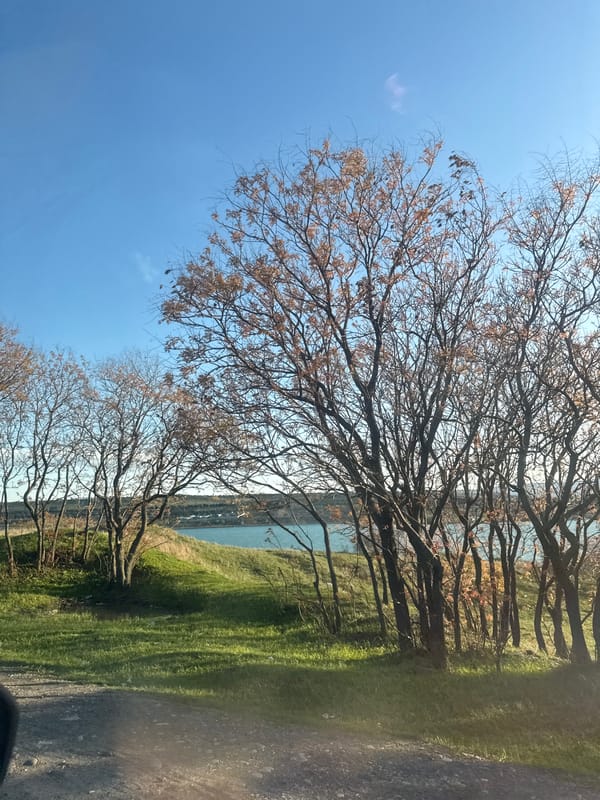 Traveler documents spring landscape journey through Tbilisi, Georgia