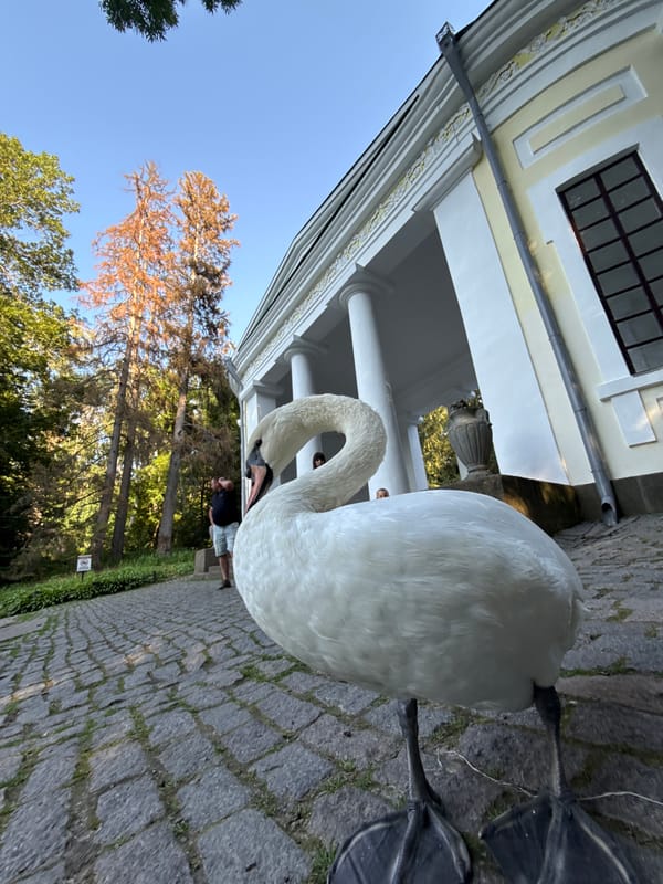 Swans, statues, and wildlife along a park waterway