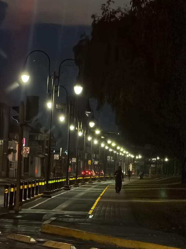 Car spotted on illuminated street in San Andrés Cholula