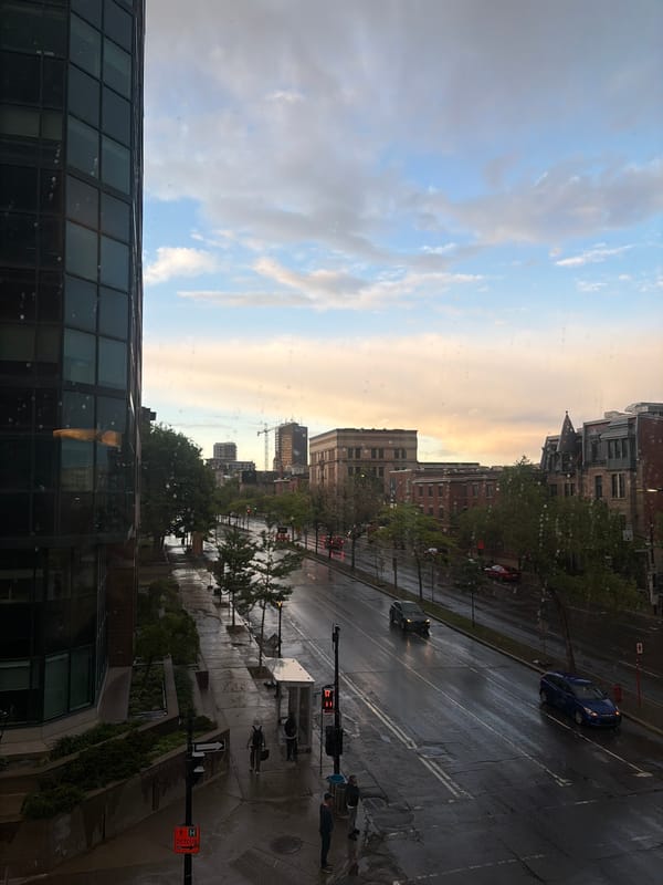 Early morning pet moments captured across Montreal streets
