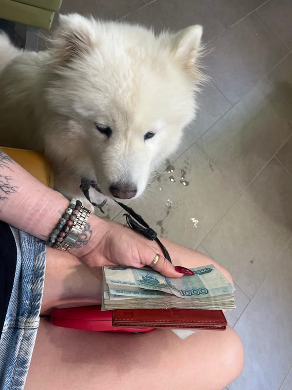 White dog, rubles, parked cars, and a playground in a Russian neighborhood