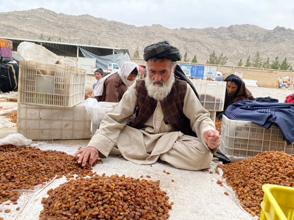 Afghan workers sort dried fruits in Kandahar markets
