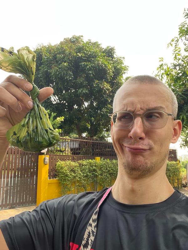 Early morning dog walk documented in rural Thailand