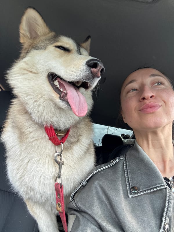 Woman takes car selfie with Siberian Husky in Russia