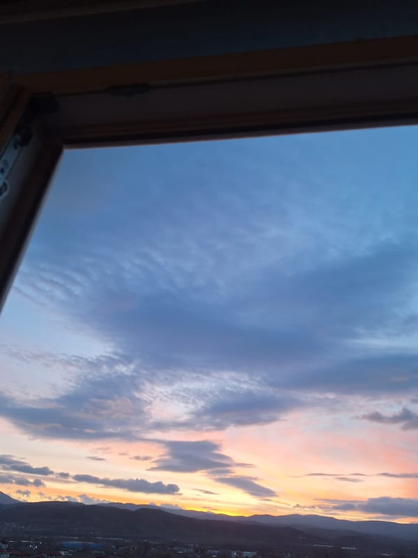 Spring sunset and blooming flowers captured in Blagoevgrad