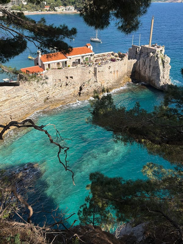 Person points at tree sign on Montenegro coastal cliff