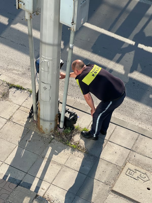 Morning activities captured across Sofia: traffic officer, office selfies