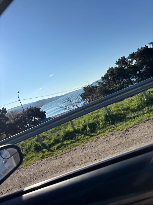 Woman takes car selfies by lake in Tbilisi