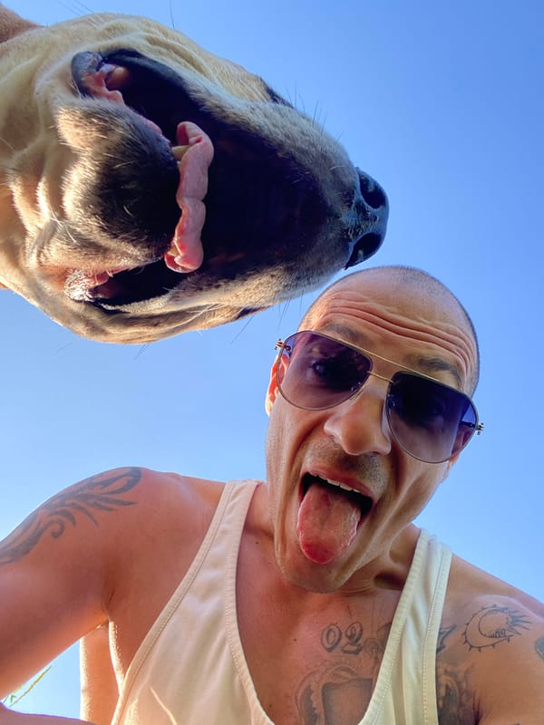 Man and dog photographed during early morning outing in Pleven