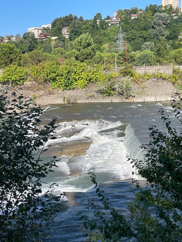 Stepped river cascades and waterside scenes in Sochi