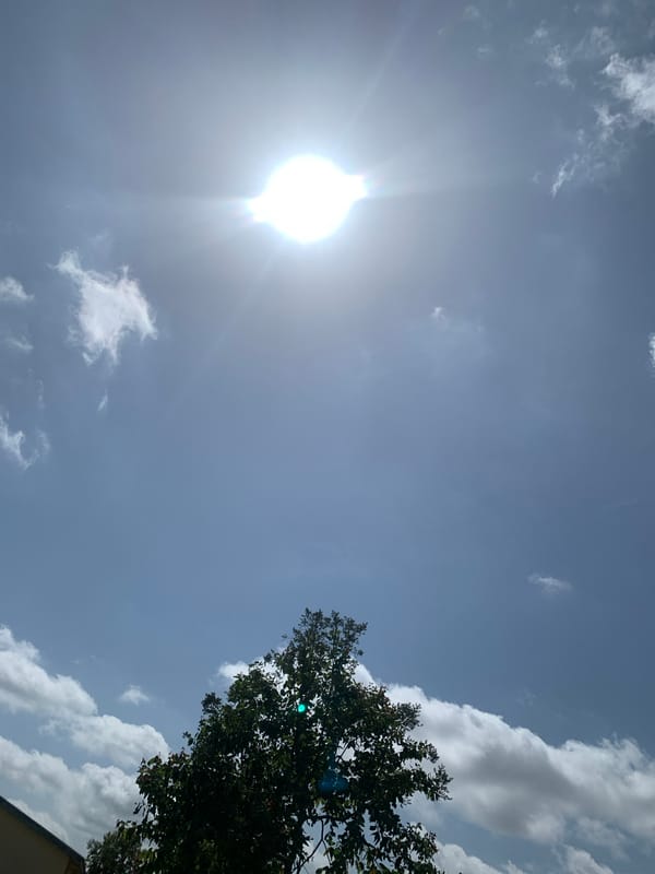 Midday sky and treetops, Kuru Karama, Nigeria