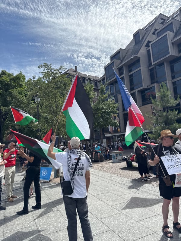 Flag-waving gathering observed in Strasbourg public square