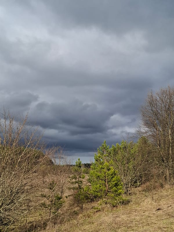 Rural landscape documented under overcast skies in Khlevnoye, Russia
