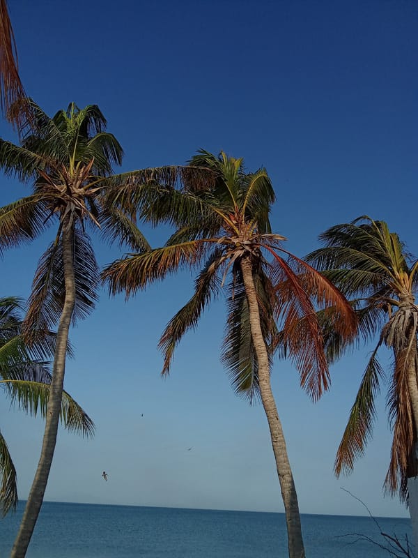 Peaceful beach day captured in Juan Griego, Venezuela