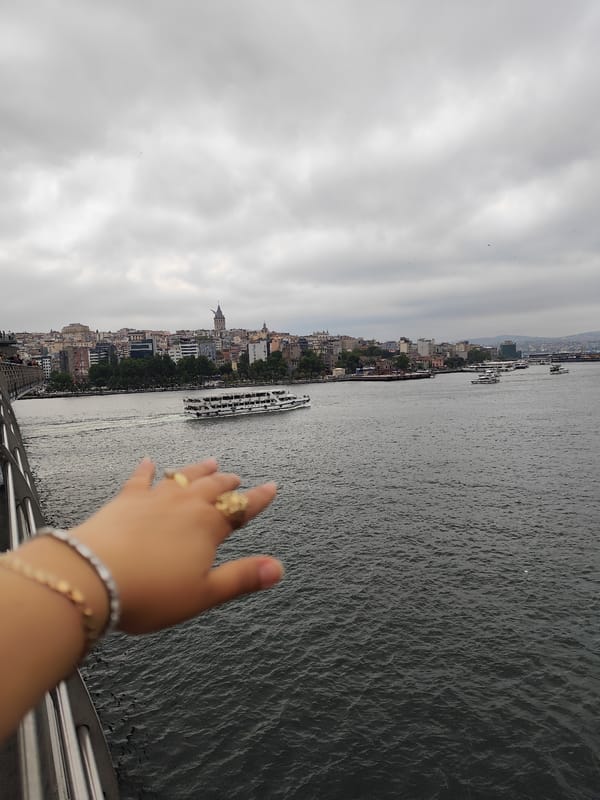 Ordinary Istanbul life captured across city during overcast afternoon
