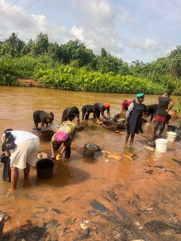 Daily market and subsistence activities documented in Obosi, Nigeria