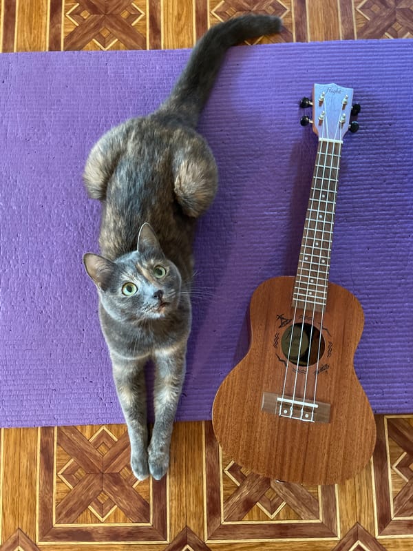 Tortoiseshell cat lounging on a purple yoga mat indoors
