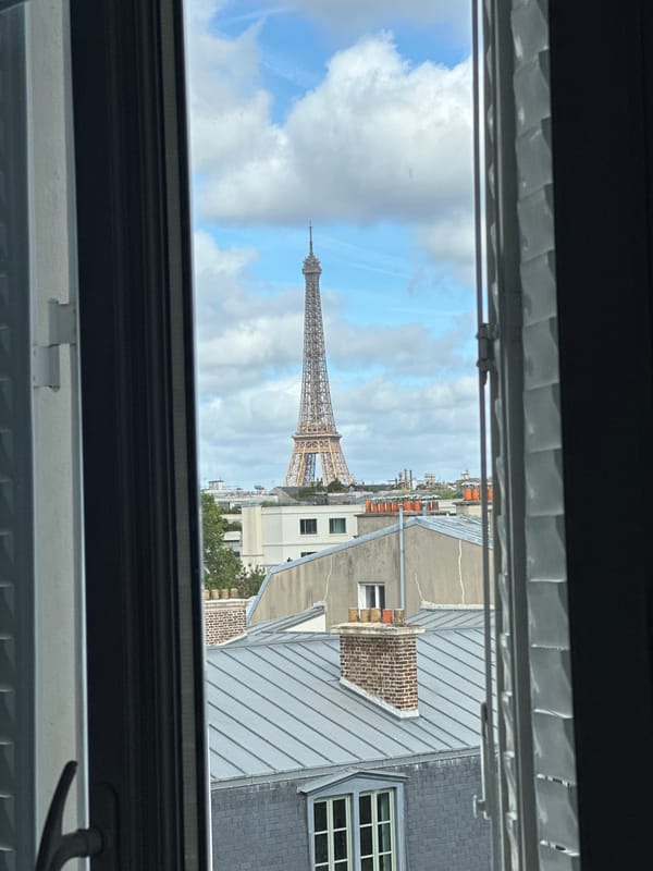 Morning Paris cityscape views captured from elevated positions show Eiffel Tower