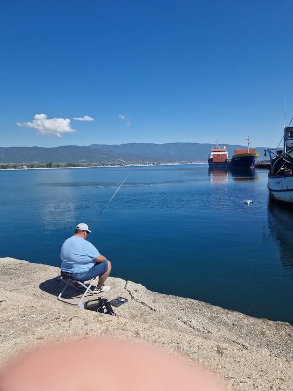 Morning angler fishes from pier as fish school nearby