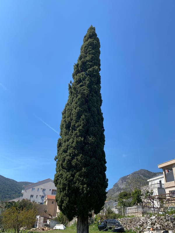 Morning documentation session captures Budva cityscape and personal items