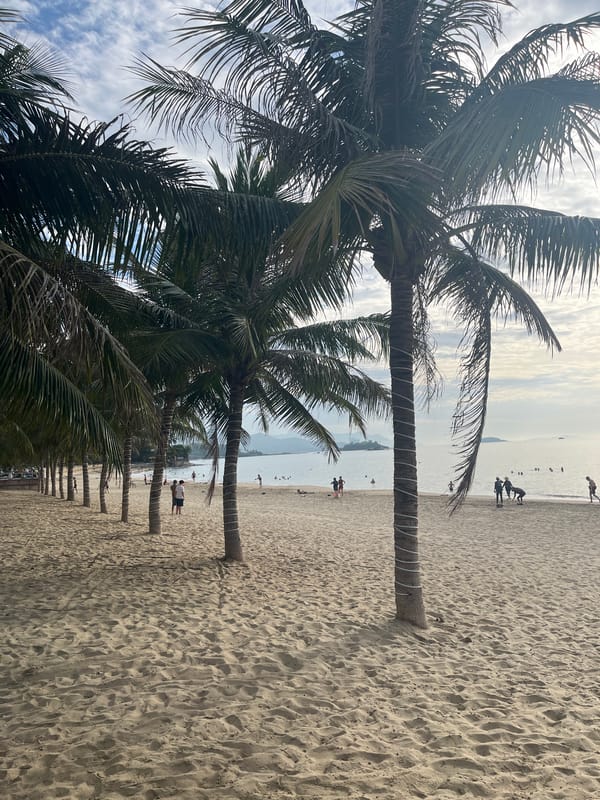 Nha Trang beachfront: sand, palms, and coastal street life
