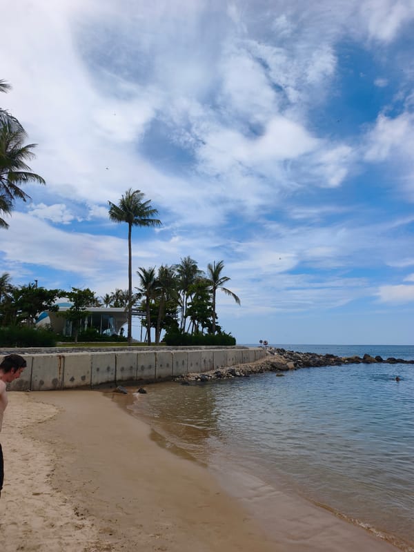 Nha Trang beachfront balances tourism and active coastal construction