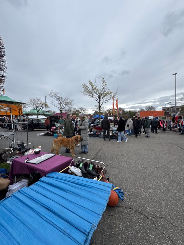 Sunday flea market draws crowds at Wuppertal garden center