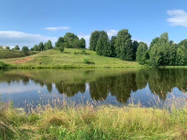 Lazy summer afternoon by the lake with kids and dogs