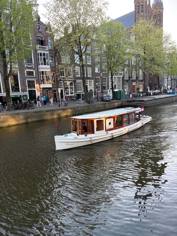 Tourist boats with tulip displays navigate Amsterdam canals