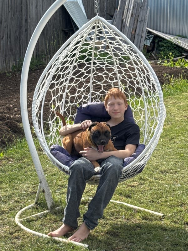 Boy and Boxer dog share quiet moment in hanging chair