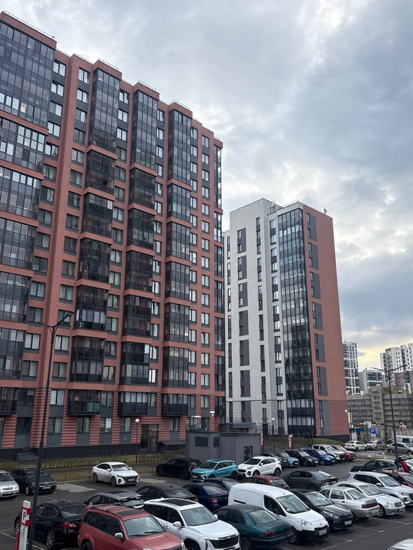 Minions toys and apartment buildings documented in Saint Petersburg