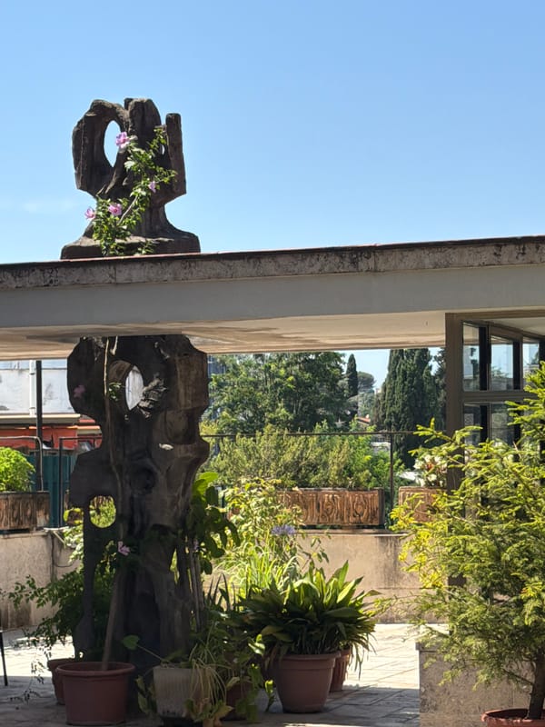 Sunny Rome rooftop garden visit with plants and selfies
