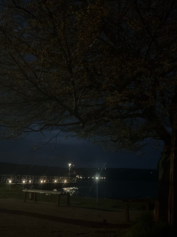 Nighttime waterfront scenes captured in Казашко, Bulgaria