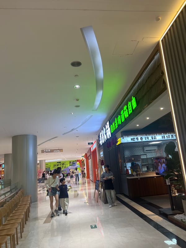 Shopper documents walk through Wanda Plaza mall in China