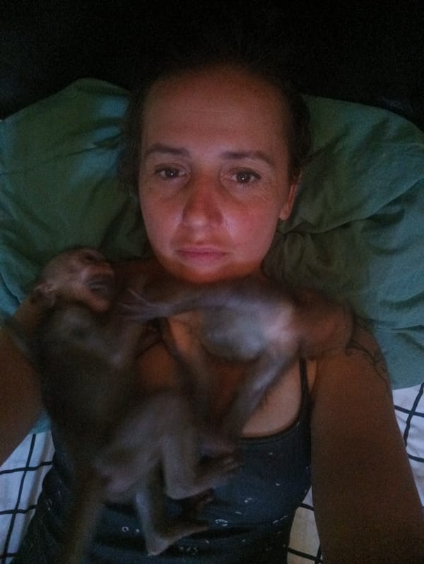 Woman photographed lying with two monkeys on chest