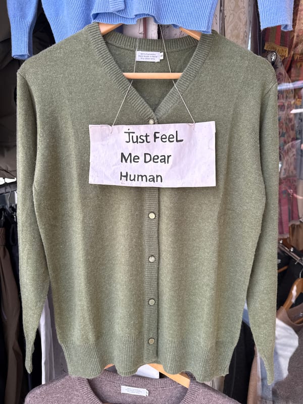 Green cardigan with handwritten note displayed in Pokhara shop