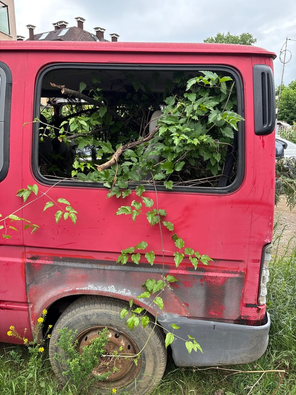 Abandoned vehicles overgrown with vegetation spotted in Sofia