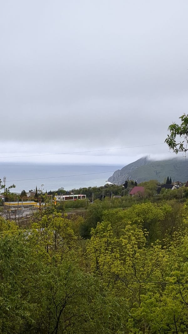 People walk, record themselves in Ukrainian towns under gray skies