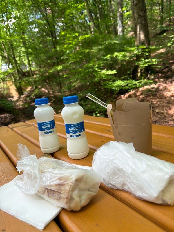 Forest excursion and outdoor meal documented in Pravets, Bulgaria