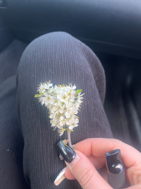 Person holds flowers, vaping device in car near Kereka