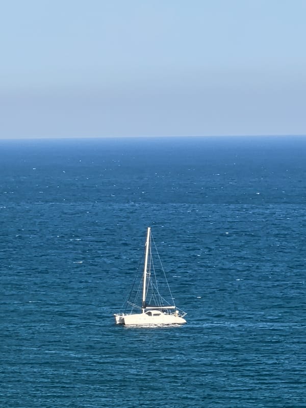 White catamaran spotted sailing off Sitges coast