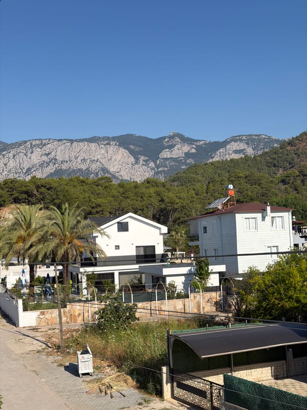 Sunny residential neighborhood with mountains, greenery, and architecture