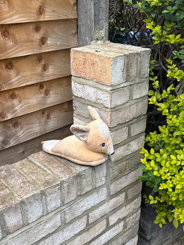 Plush toy found lodged near London residence during morning hours
