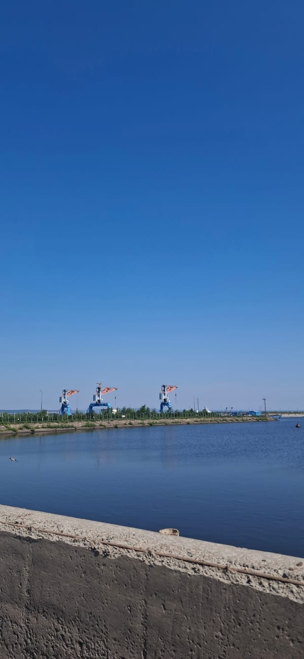 Three cranes spotted at Chaikovsky waterfront under clear skies